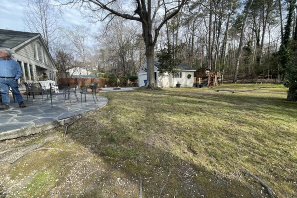 BACKYARD (2)
