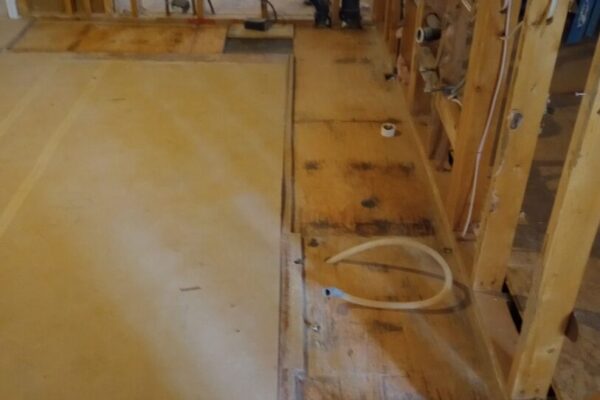 IMG_20260211_153444921_HDR